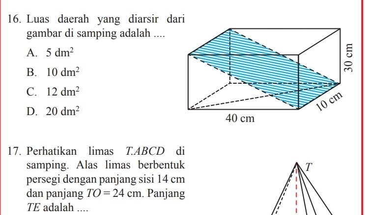 Detail Daerah Yang Diarsir Pada Gambar Berikut Disebut Nomer 28