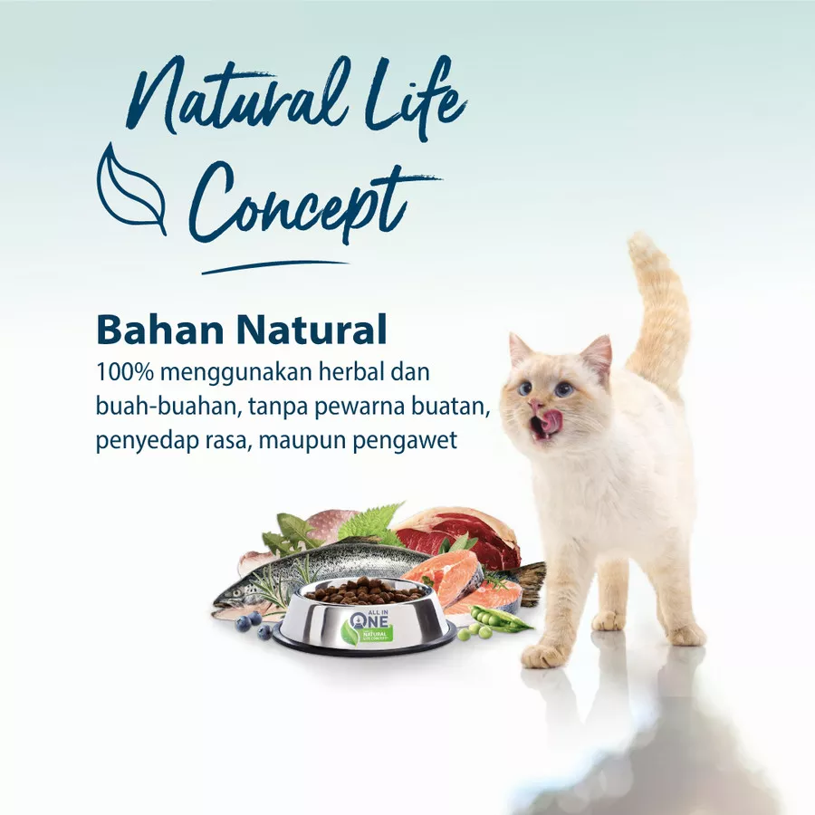 Detail Daging Sapi Untuk Kucing Nomer 21