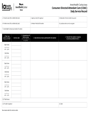 Detail Daily Report Template Word Nomer 16