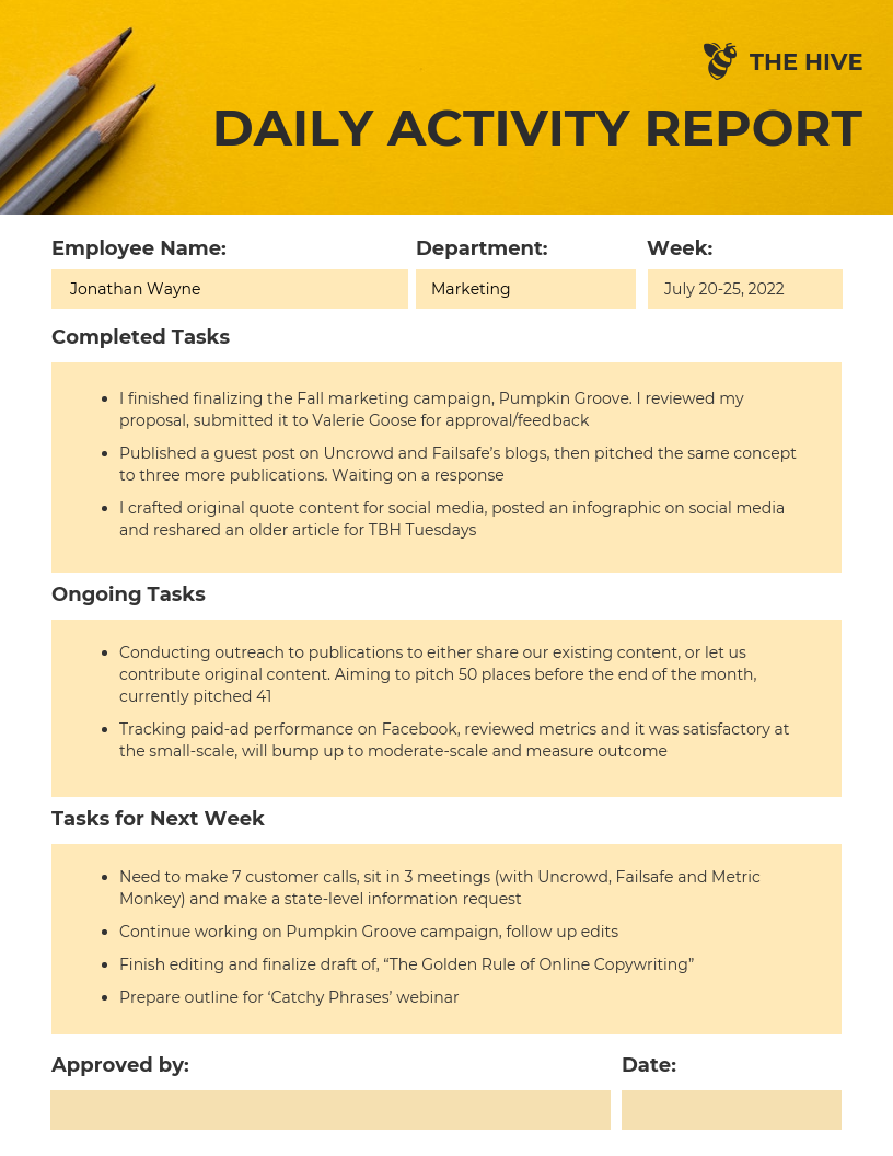 Detail Daily Report Template Word Nomer 19