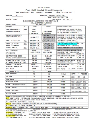 Detail Daily Report Template Word Nomer 35