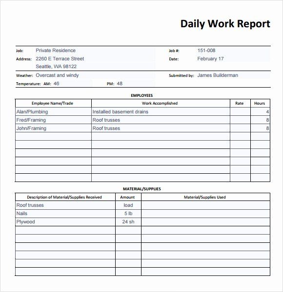 Detail Daily Report Template Word Nomer 39