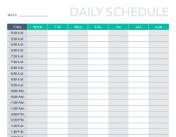 Detail Daily Schedule Template Nomer 2