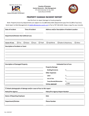 Detail Damage Report Template Nomer 26