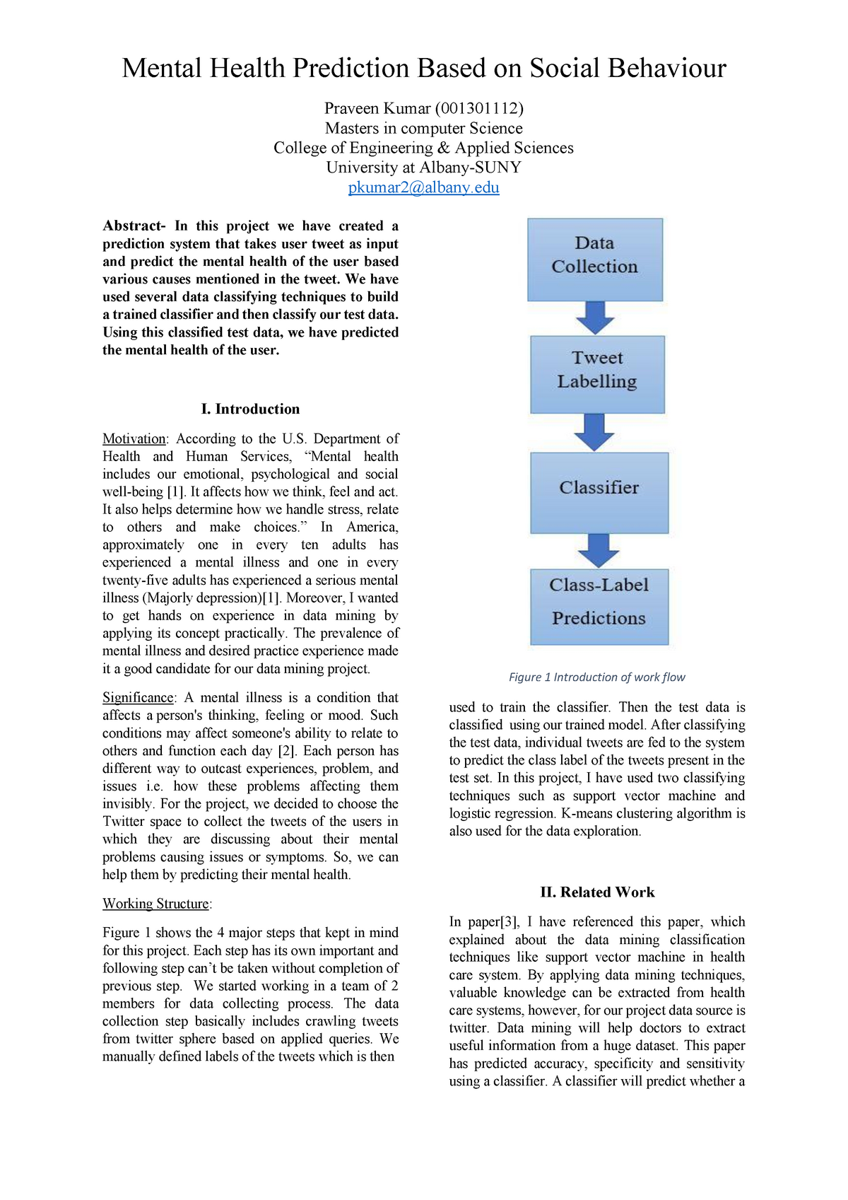 Detail Data Science Project Report Template Nomer 20