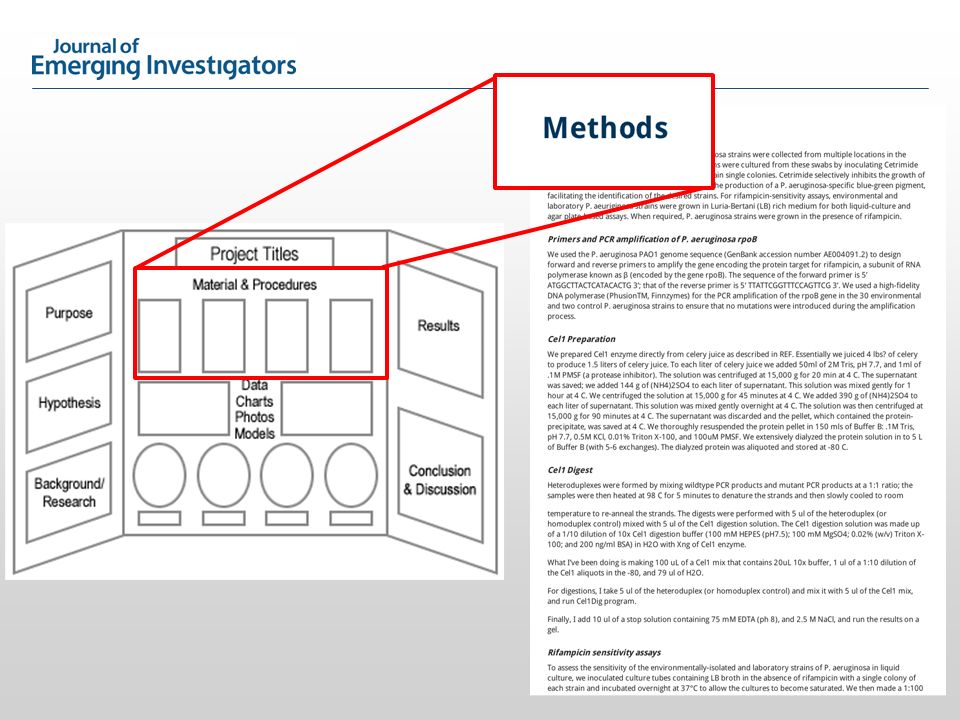 Detail Data Science Project Report Template Nomer 46