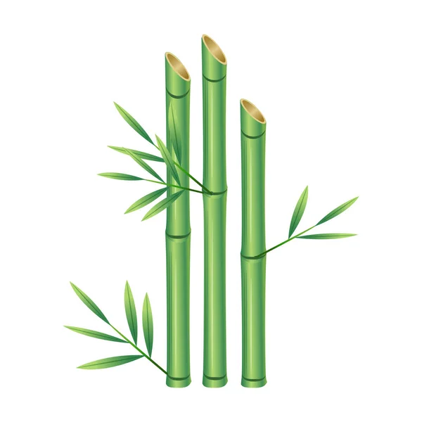 Detail Daun Bambu Vektor Nomer 23