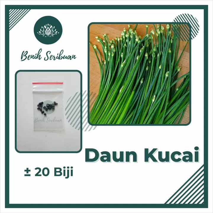 Detail Daun Bawang Bahasa Inggris Nomer 40