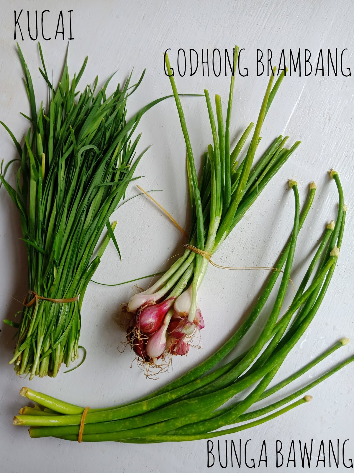 Detail Daun Bawang Dari Bawang Apa Nomer 4