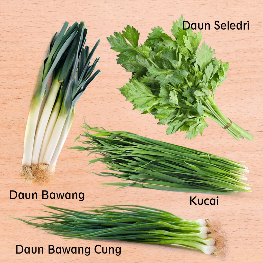 Detail Daun Bawang Dari Bawang Apa Nomer 40