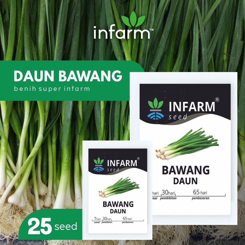 Detail Daun Bawang Dari Bawang Apa Nomer 43