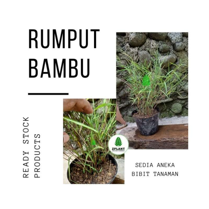 Download Daun Bidara Dalam Bahasa Sunda Nomer 39