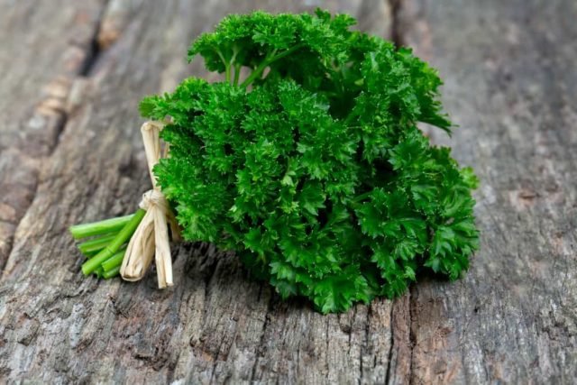 Detail Daun Parsley Itu Apa Nomer 13