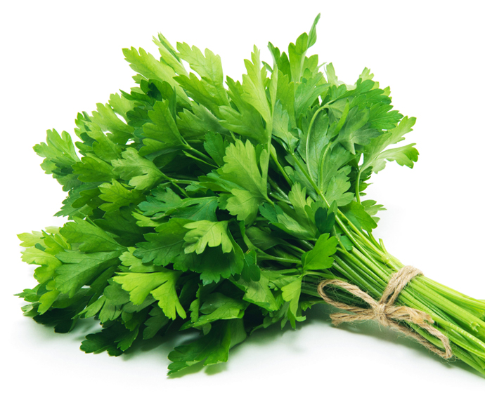 Detail Daun Parsley Itu Apa Nomer 25