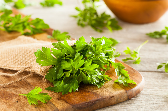 Detail Daun Parsley Itu Apa Nomer 3