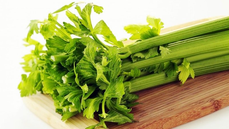 Detail Daun Parsley Itu Apa Nomer 32