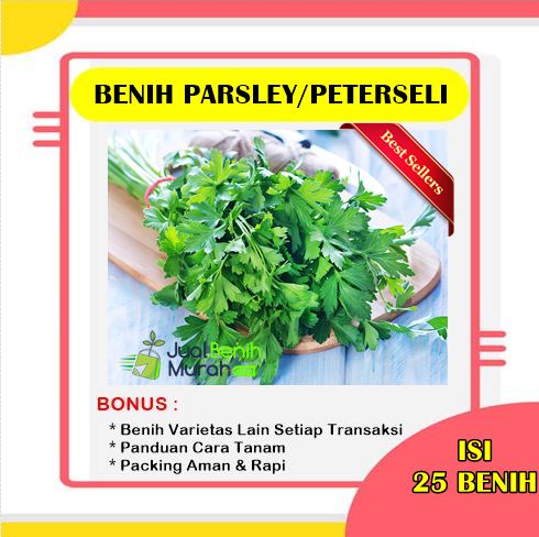 Detail Daun Parsley Itu Apa Nomer 38