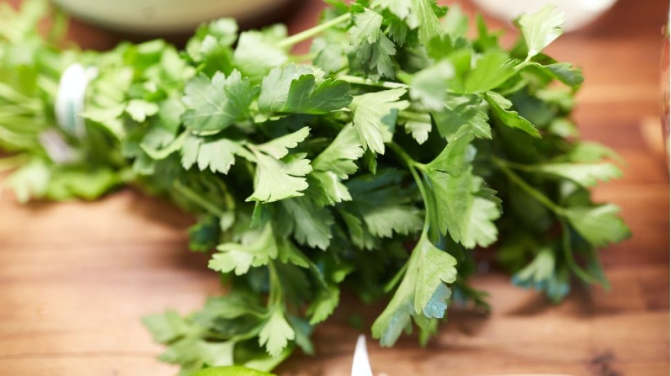 Detail Daun Parsley Itu Apa Nomer 41