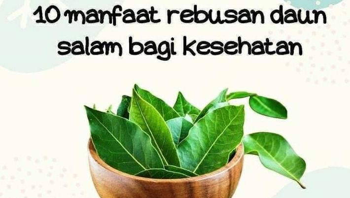 Detail Daun Salam Untuk Jantung Nomer 26