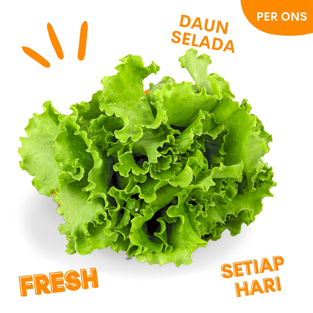 Detail Daun Selada Untuk Salad Nomer 24