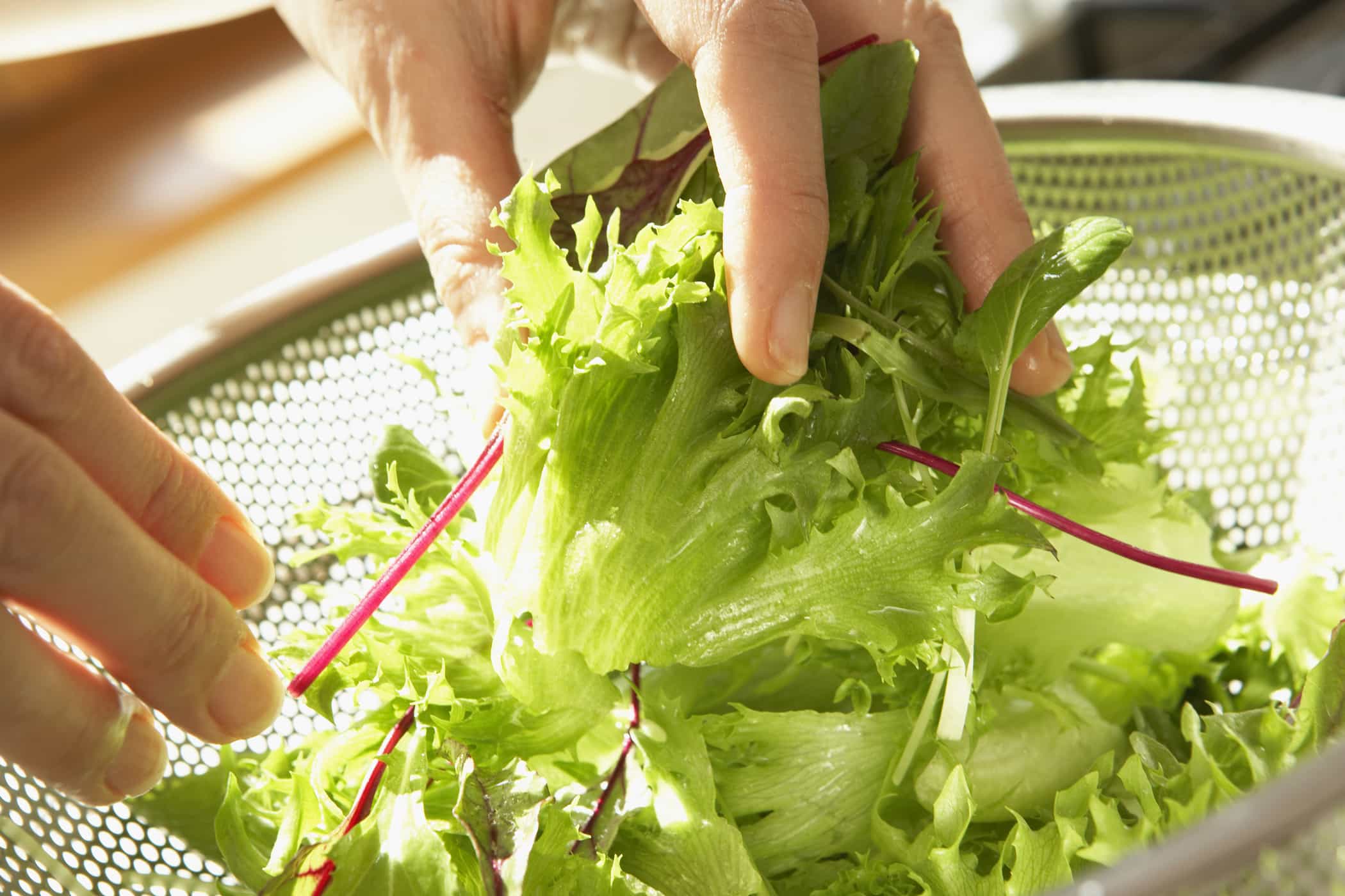 Detail Daun Selada Untuk Salad Nomer 25