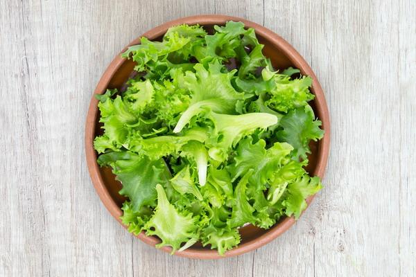 Detail Daun Selada Untuk Salad Nomer 41