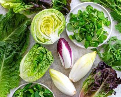 Detail Daun Selada Untuk Salad Nomer 9