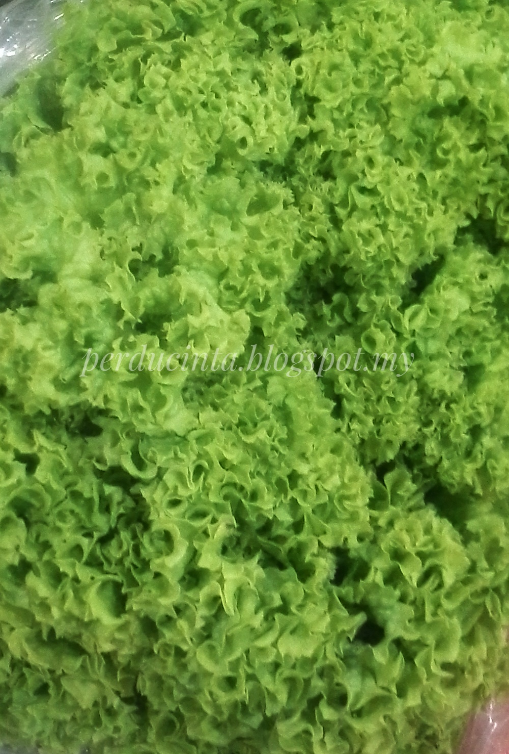 Detail Daun Untuk Salad Nomer 29