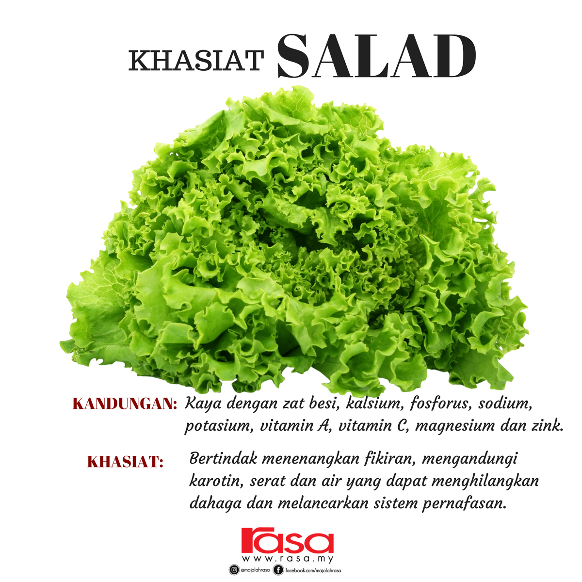 Detail Daun Untuk Salad Nomer 34