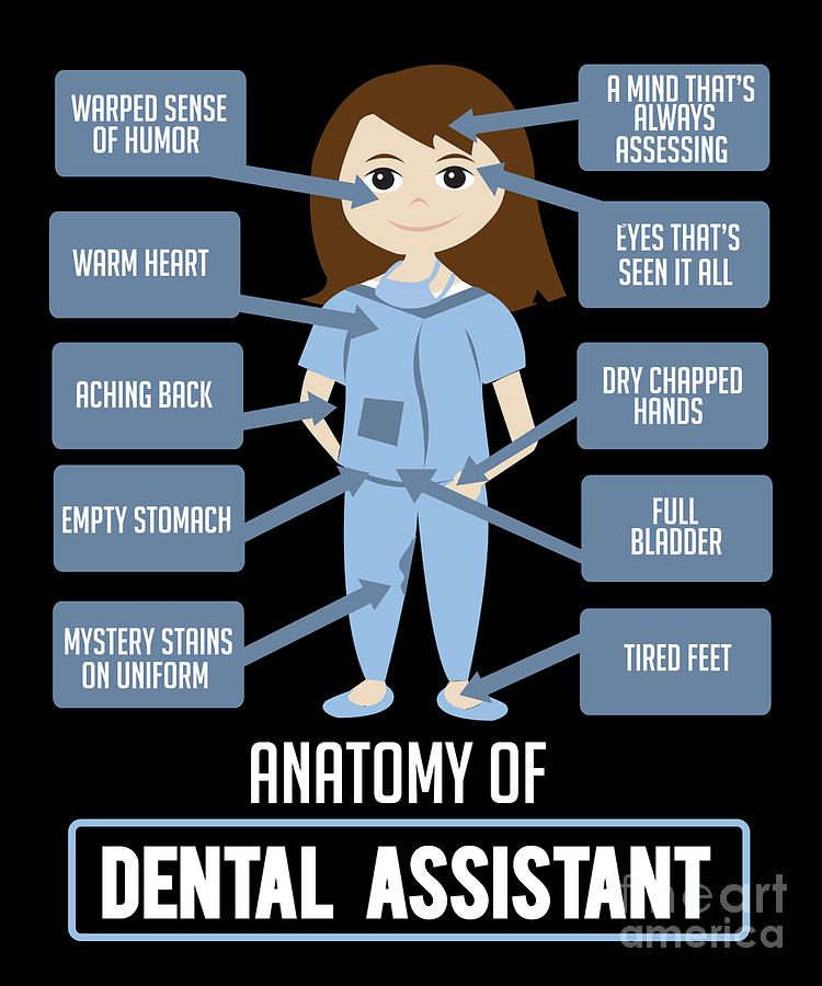 Detail Dental Assistant Quotes Nomer 6