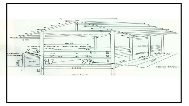 Detail Desain Kandang Sapi Potong Download Nomer 17