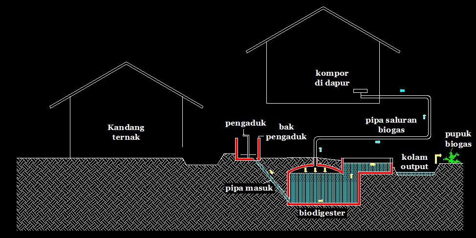 Detail Desain Kandang Sapi Potong Download Nomer 21