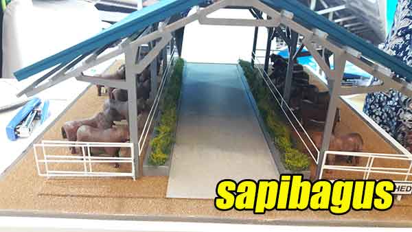 Detail Desain Kandang Sapi Potong Download Nomer 34