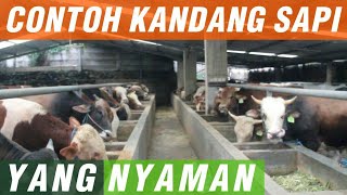 Detail Desain Kandang Sapi Potong Download Nomer 40