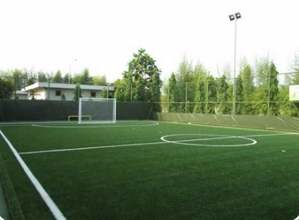 Detail Desain Lapangan Futsal Sederhana Nomer 24