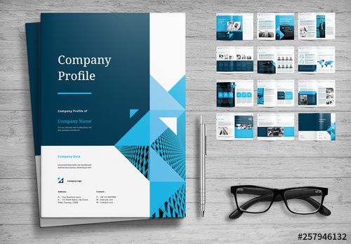Detail Design Template Company Profile Nomer 3