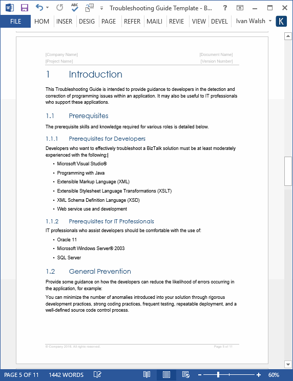 Detail Development Guidelines Template Nomer 22