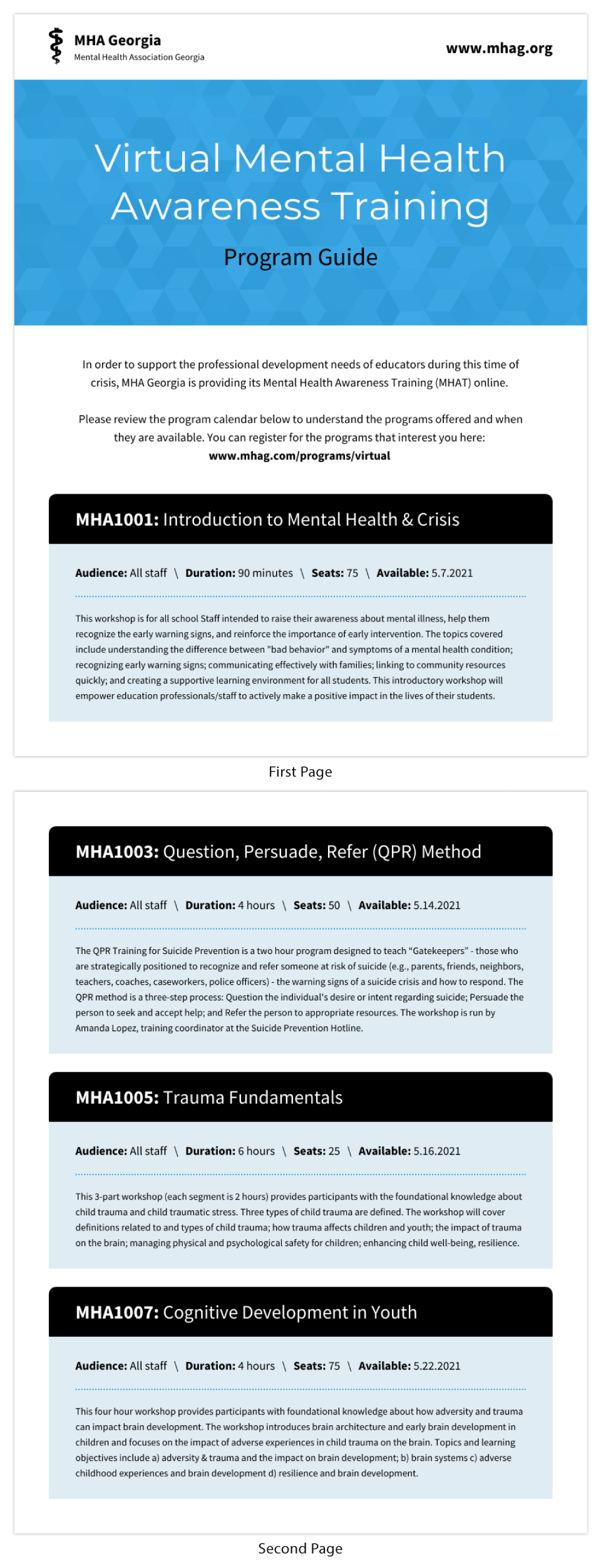 Detail Development Guidelines Template Nomer 34