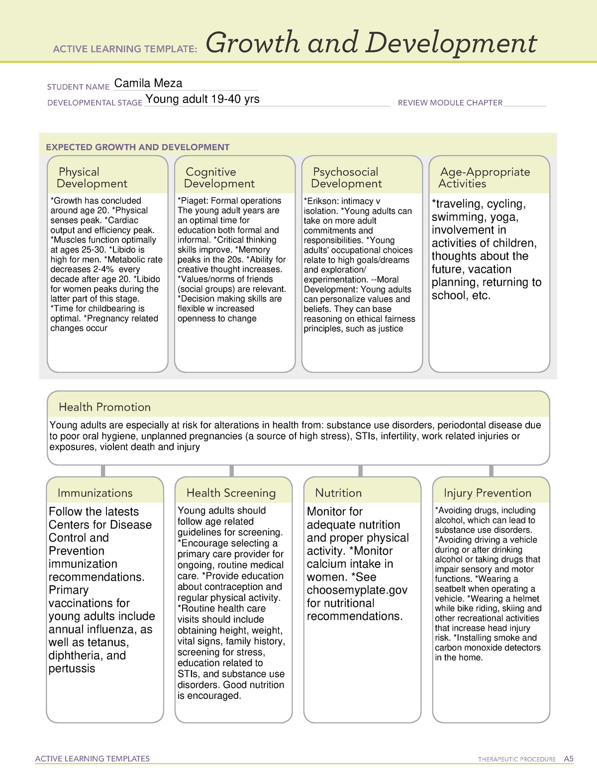 Detail Development Guidelines Template Nomer 41