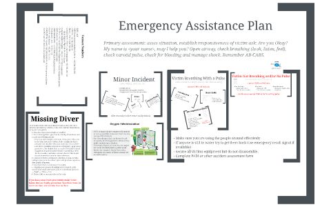 Detail Diving Emergency Action Plan Template Nomer 14