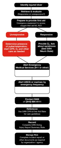 Detail Diving Emergency Action Plan Template Nomer 19