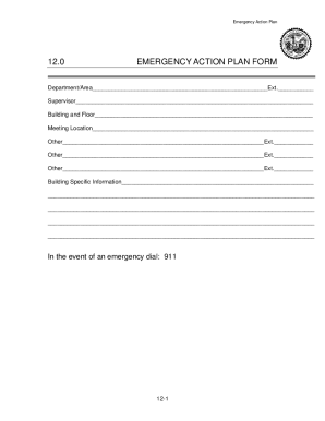 Detail Diving Emergency Action Plan Template Nomer 23