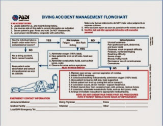 Detail Diving Emergency Action Plan Template Nomer 24