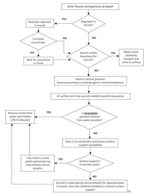 Detail Diving Emergency Action Plan Template Nomer 33