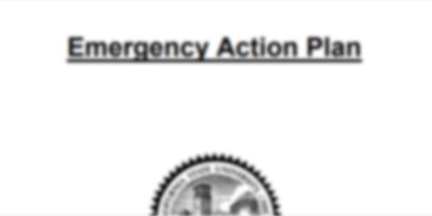 Detail Diving Emergency Action Plan Template Nomer 38