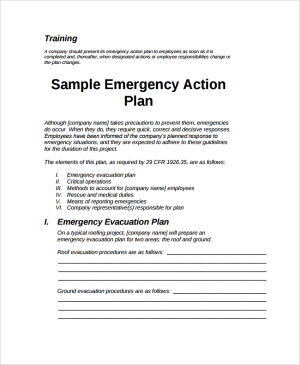 Detail Diving Emergency Action Plan Template Nomer 5