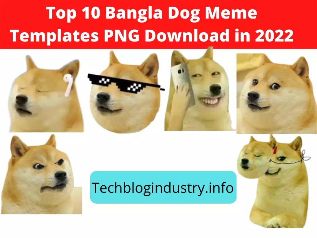 Detail Dog Meme Template Nomer 6