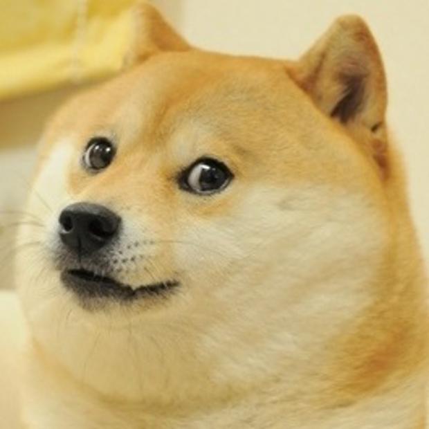 Detail Doge Meme Template Nomer 2