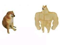 Detail Doge Meme Template Nomer 5