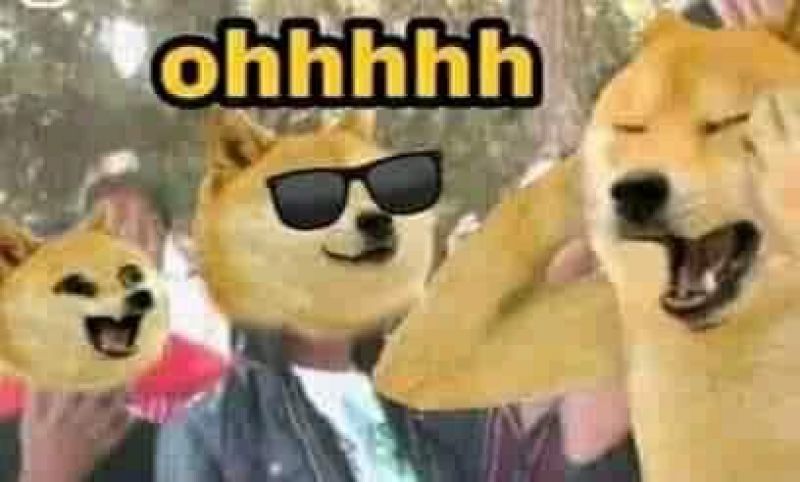 Detail Doge Meme Template Nomer 40